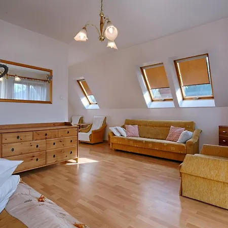 דירה Apartament Promienny Centrum Z Widokiem זקופאנה